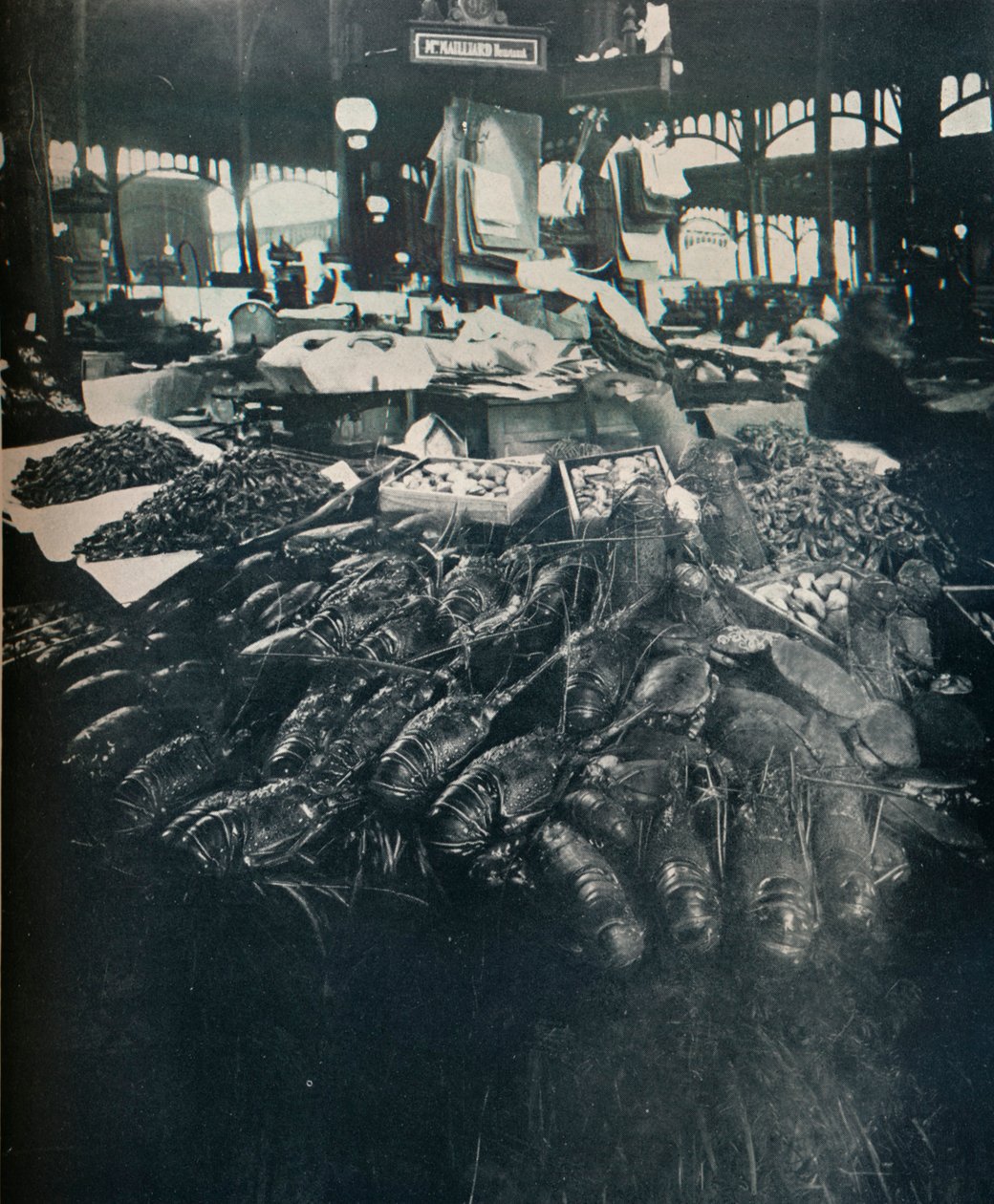 Rybí trh, c1877-1927, 1929 od Eugène Atget