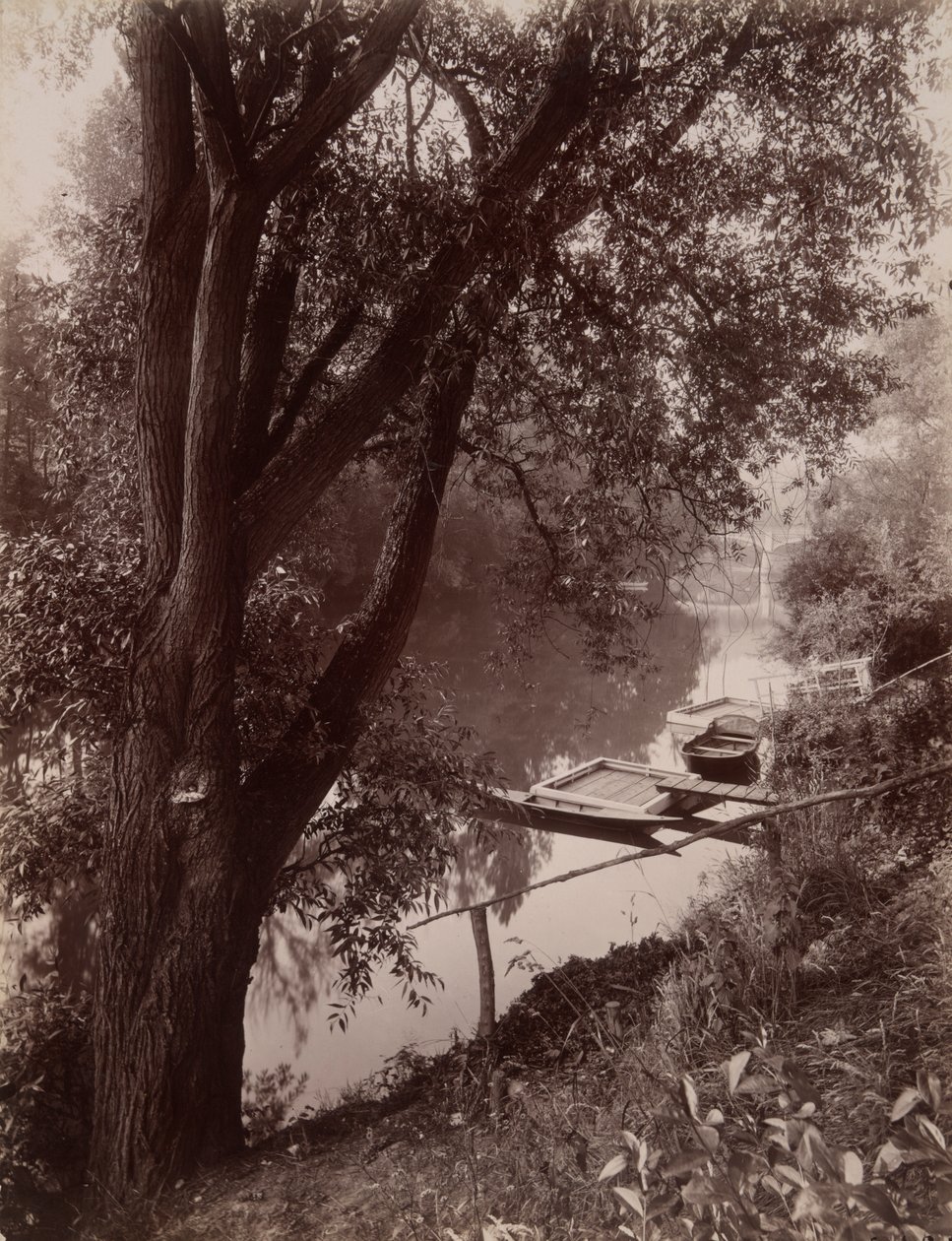 Marne? La Varenne (Marne v La Varenne) od Eugène Atget