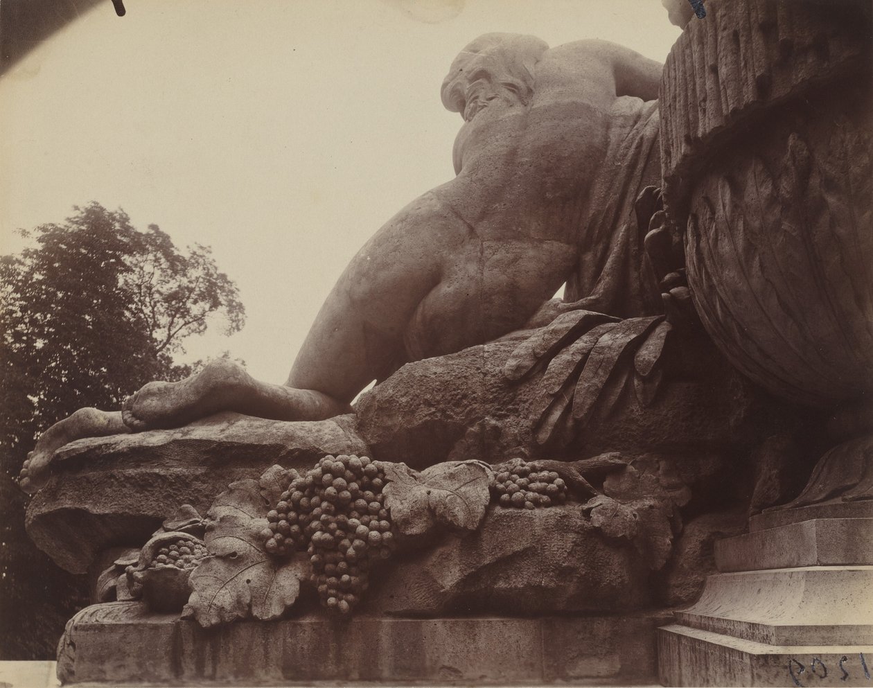 Saint-Cloud,1923 (foto) od Eugène Atget