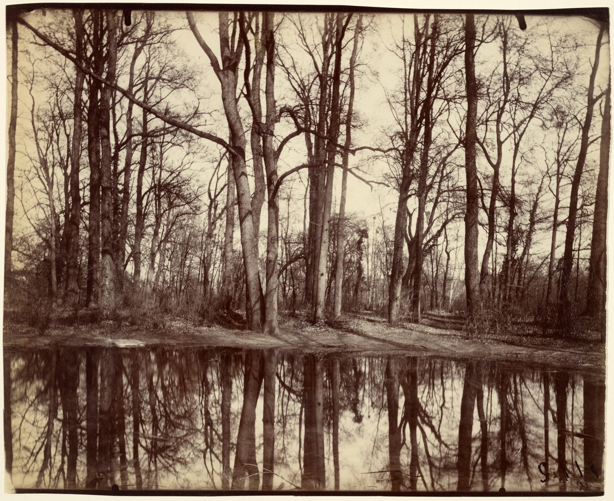 Saint-Cloud od Eugène Atget