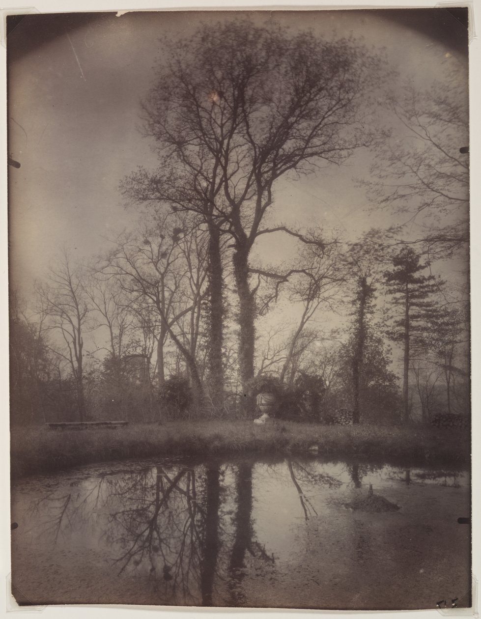 The Park at Sceaux [duben 1925, 7:00] od Eugène Atget
