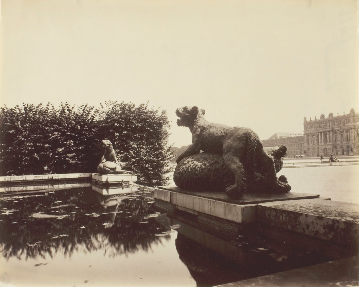 Versailles, Fontaine du Point du Jour, Tygr zabíjející medvěda od Houzeau, 1903. od Eugène Atget