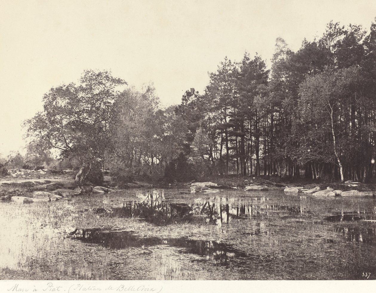 Marsh at Piat (Belle-Croix Plateau) od Eugène Cuvelier