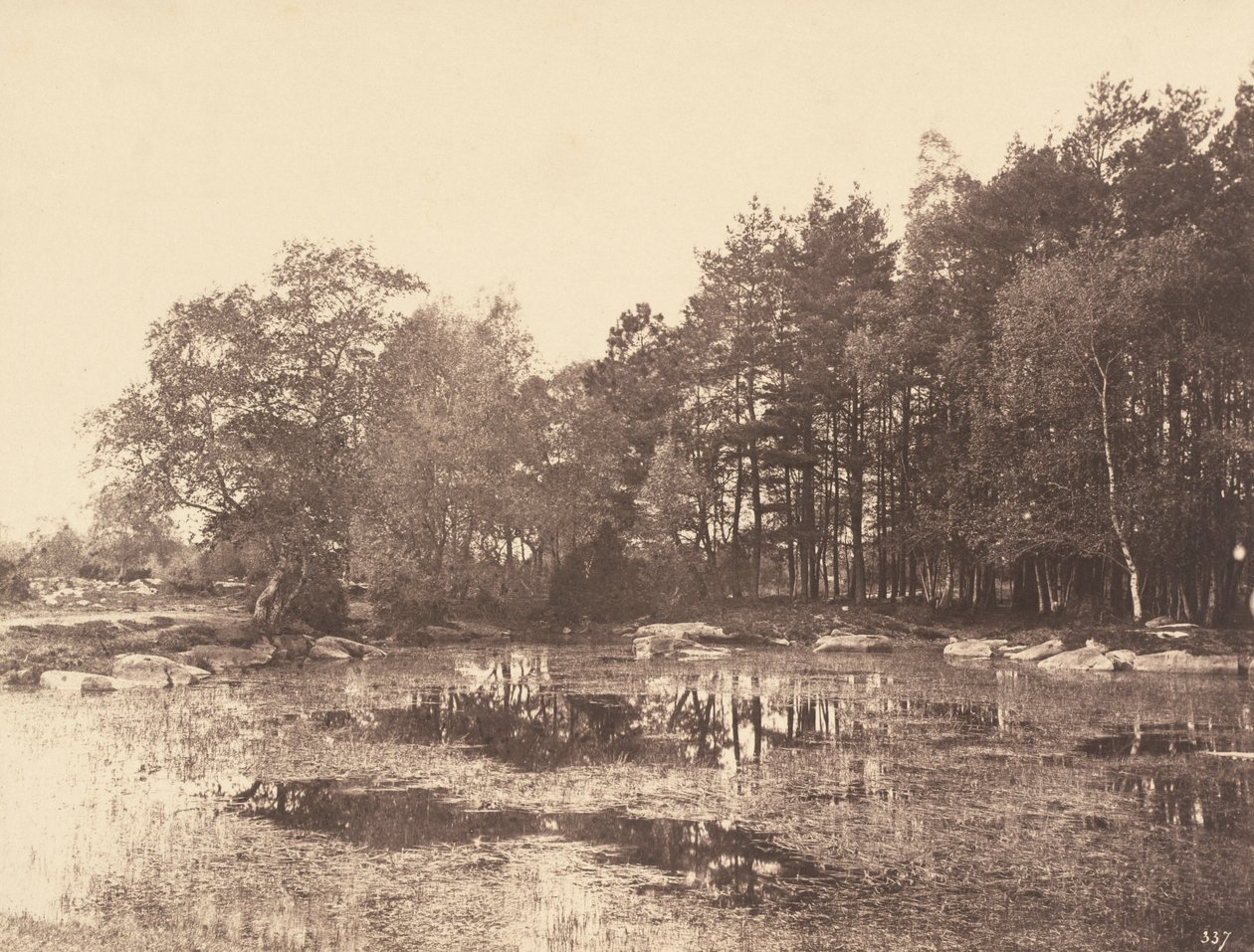 Bažina v Piat (Belle-Croix Plateau), asi 1863 (foto) od Eugène Cuvelier
