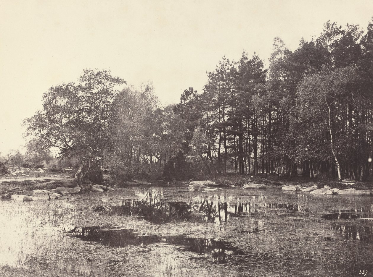 Marsh na Piat Belle-Croix Plateau, c. 1863. od Eugène Cuvelier