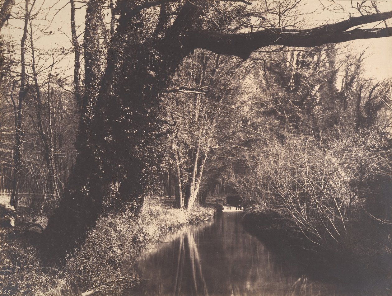 Courances Park, 1860-70. od Eugène Cuvelier