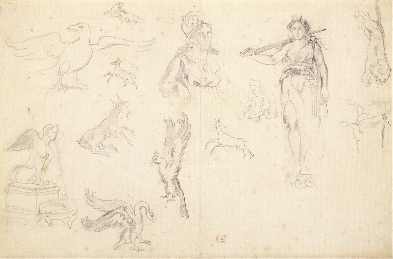 Studie na zvířatech a obrázcích od Eugène Delacroix