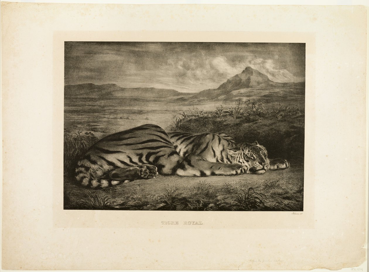 Bengálský tygr od Eugène Delacroix