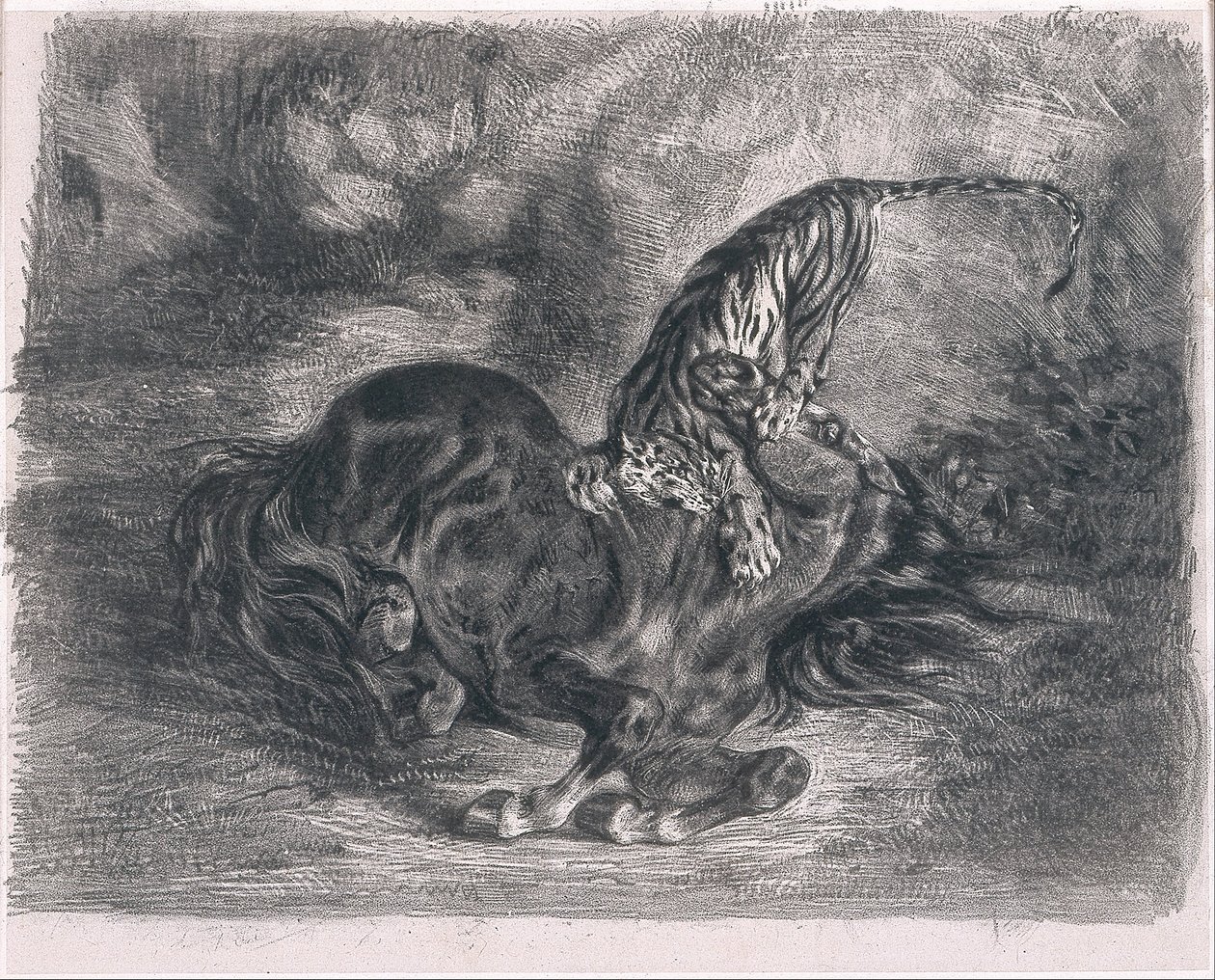 Divoký kůň sražený tygrem od Ferdinand Victor Eugene Delacroix