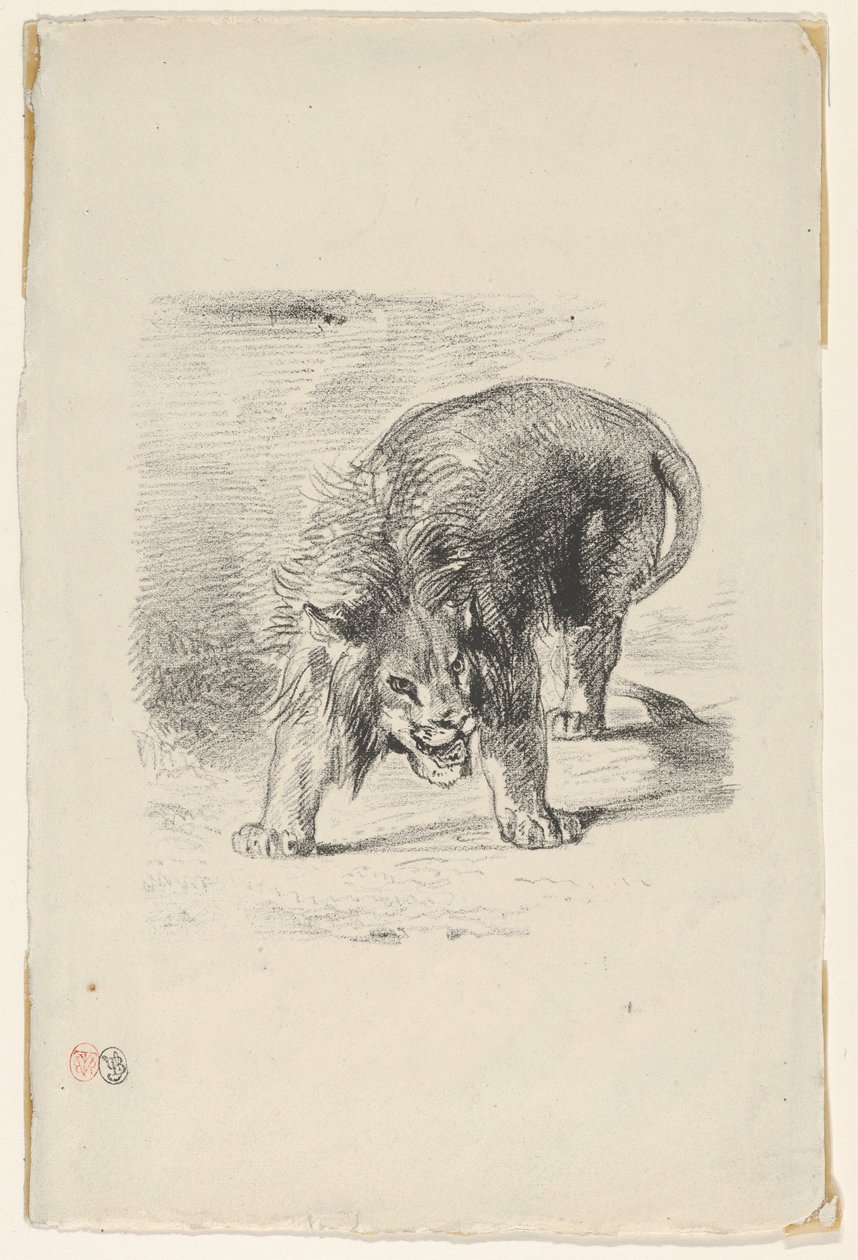 Lev stojící, 1833, 1833. od Eugène Delacroix