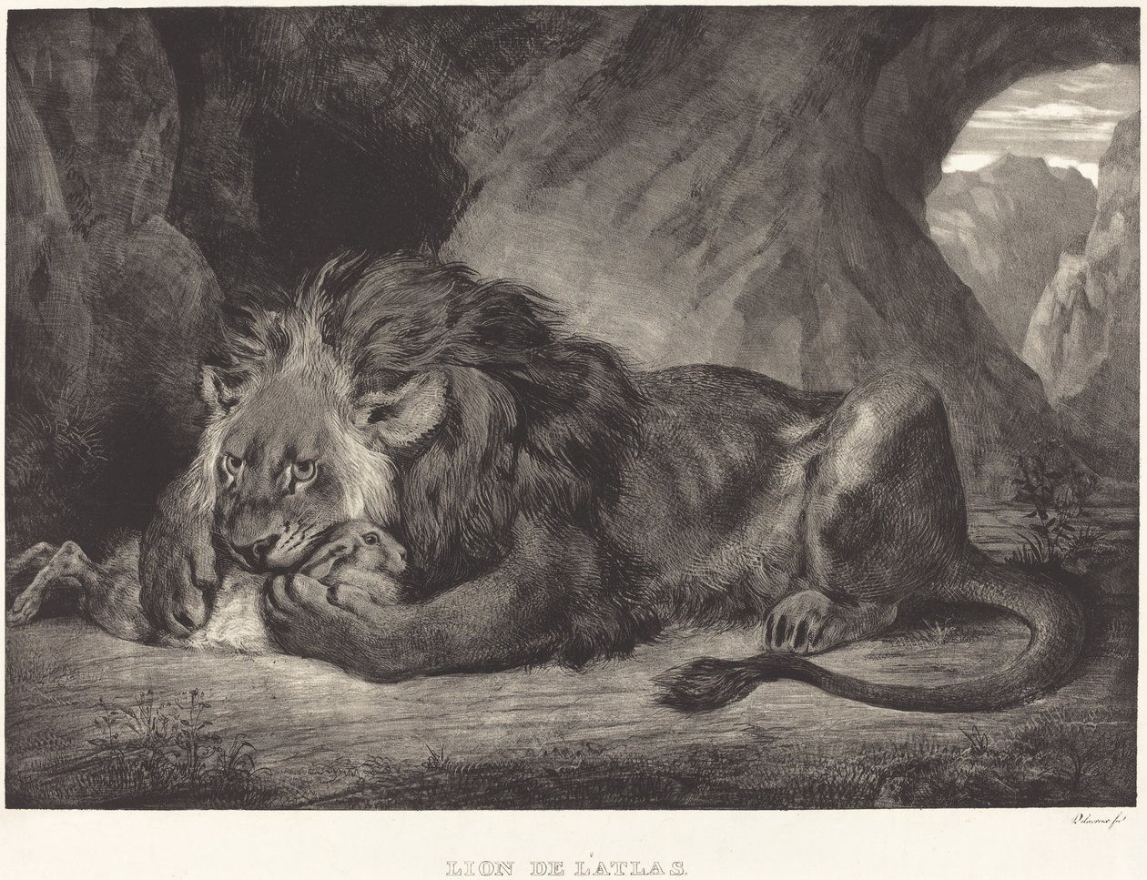 Lev z pohoří Atlas (Lion de l