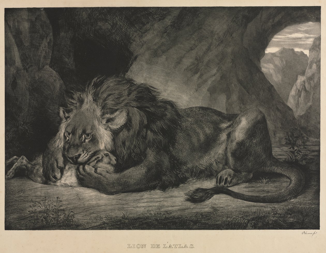 Lev z pohoří Atlas od Eugène Delacroix