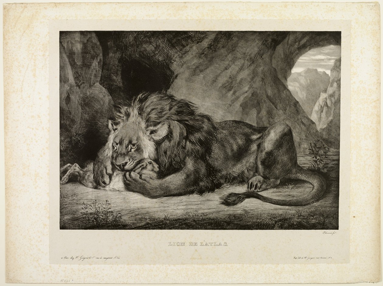 Lev z pohoří Atlas od Eugène Delacroix
