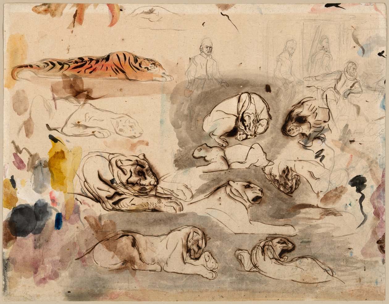Náčrtky tygrů a mužů v kostýmu 16. století od Eugène Delacroix