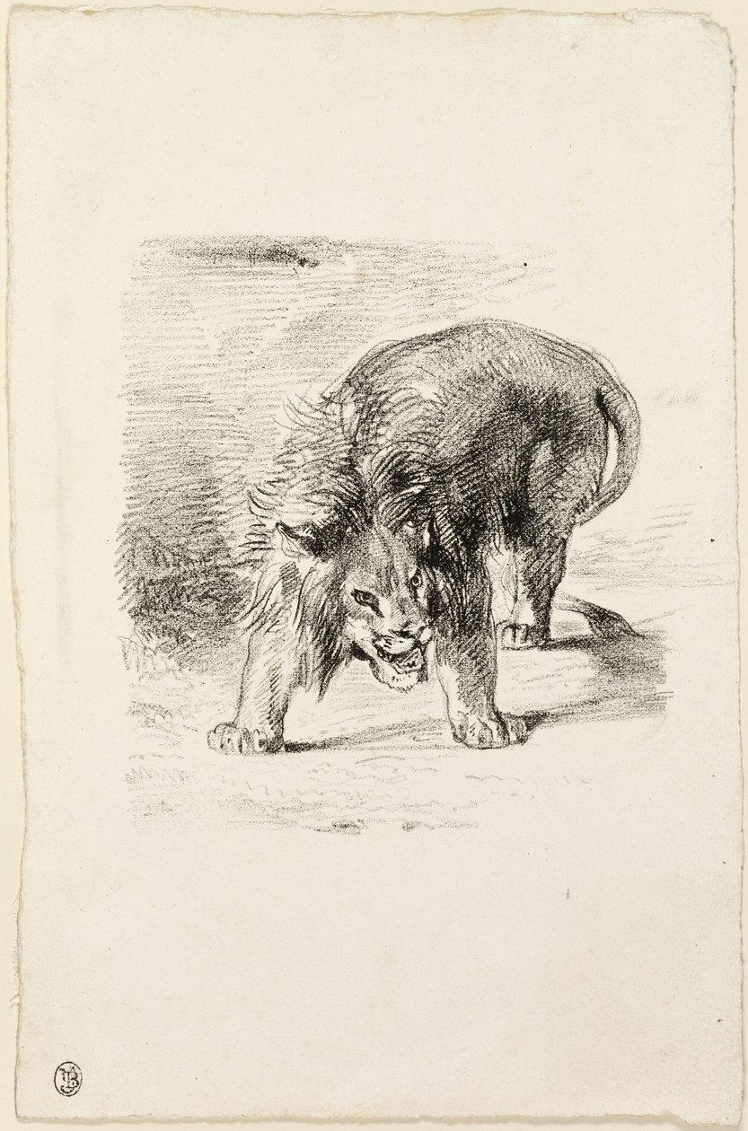 Stojící lev od Eugène Delacroix