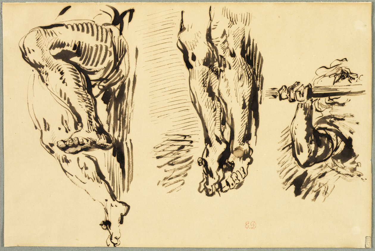 Studie paží a nohou Krista ukřižovaného od Eugène Delacroix
