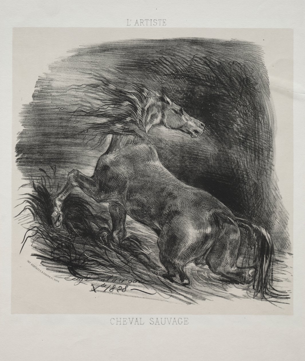 Divoký kůň aneb Splašený kůň opouštějící vodu od Eugène Delacroix