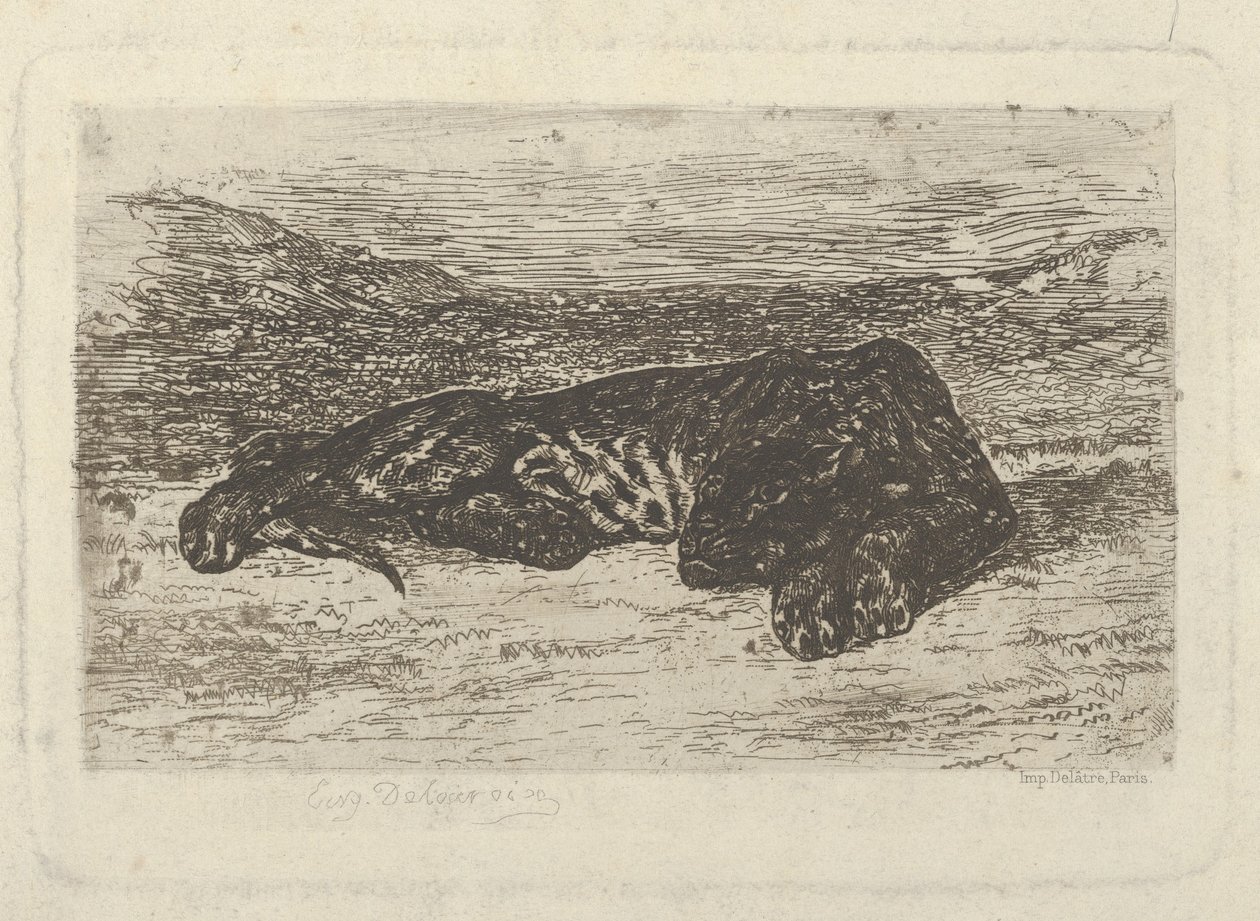 Tygr ležící v poušti, 1846., 1846. od Eugène Delacroix