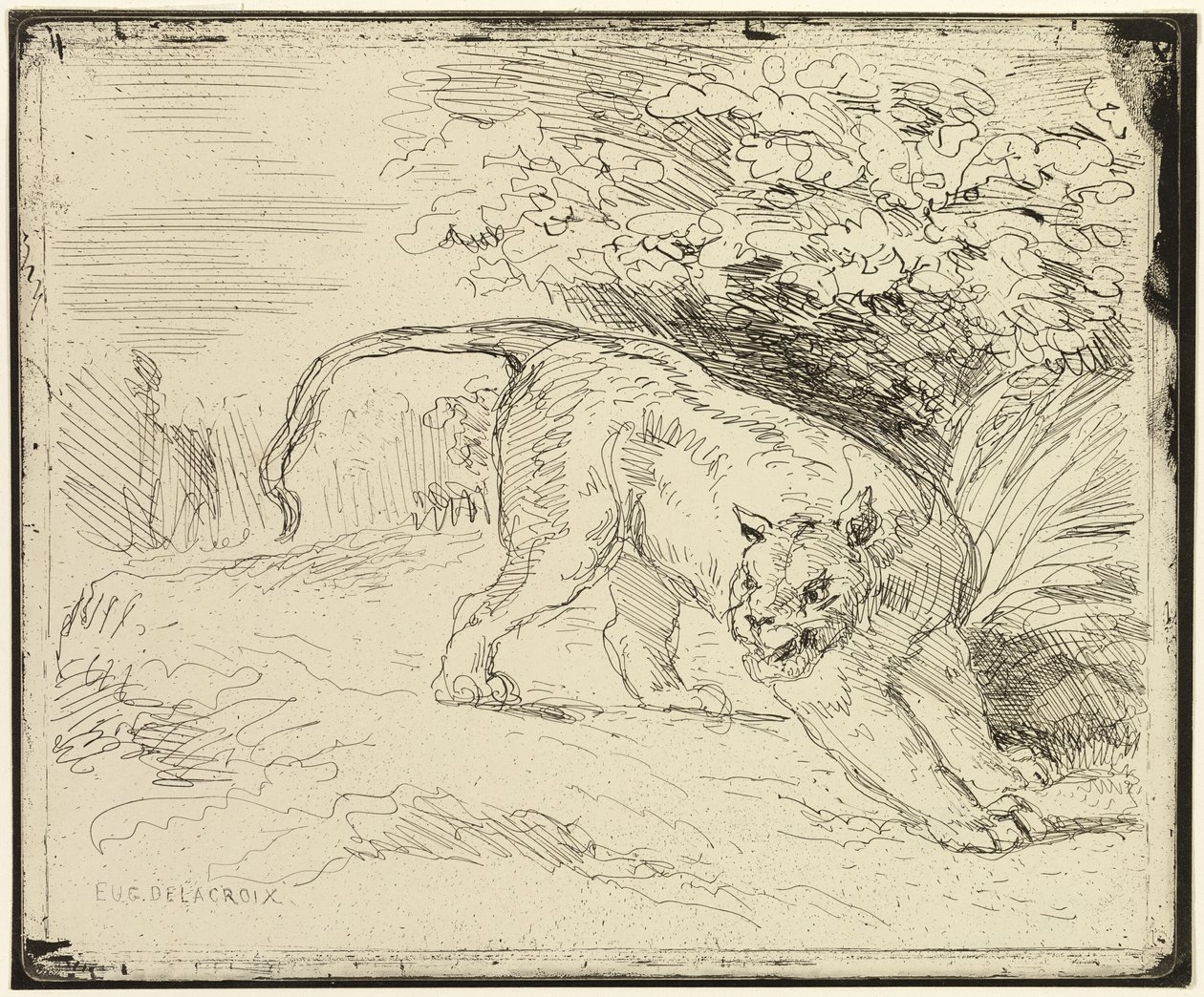 Tygr připravený na jaro od Eugène Delacroix