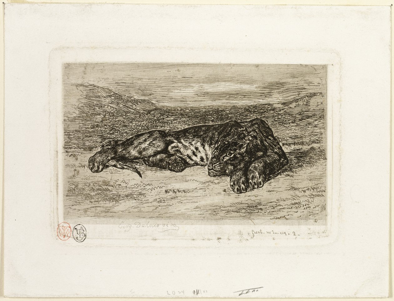 Tygr odpočívá v poušti od Eugène Delacroix