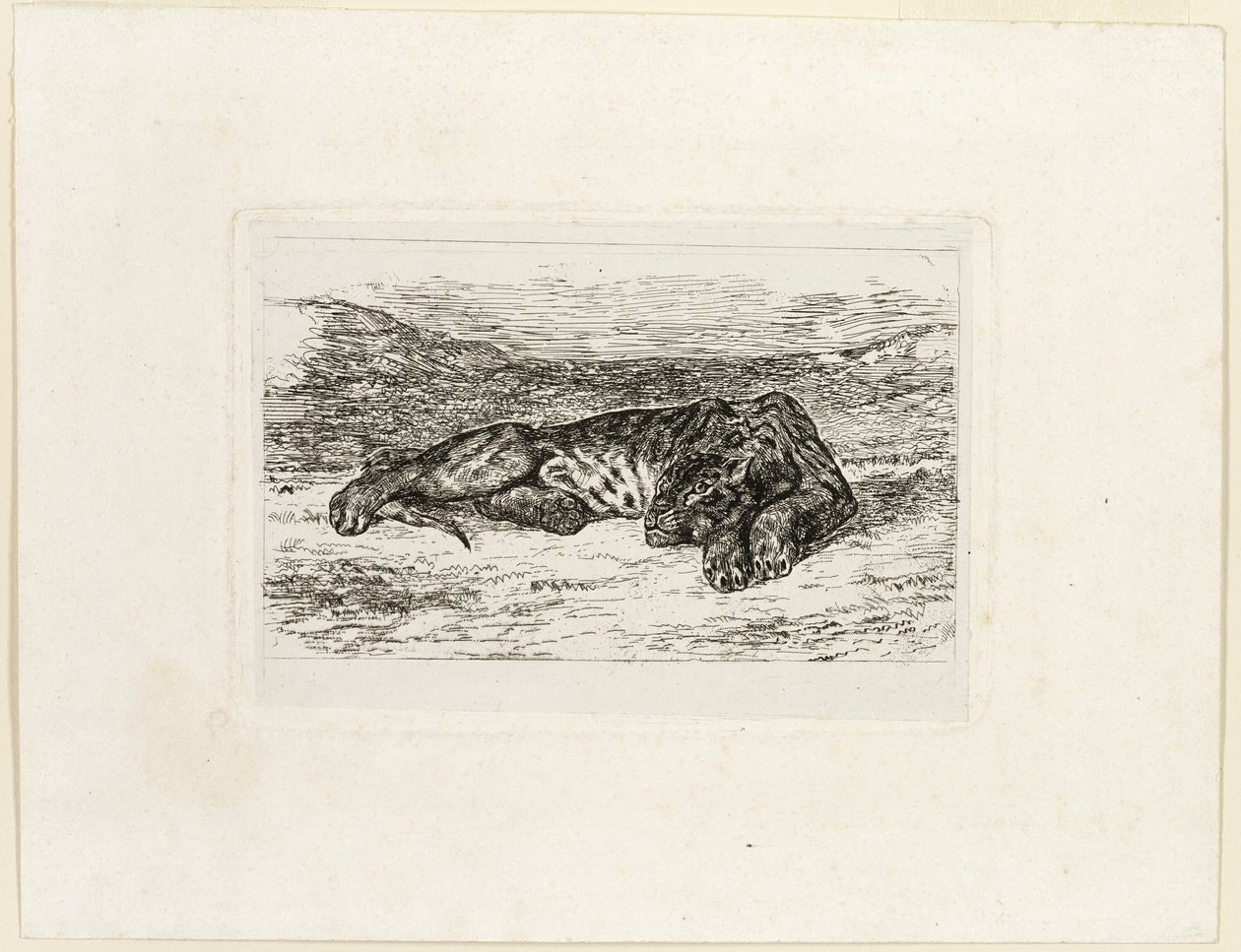 Tygr odpočívá v poušti od Eugène Delacroix