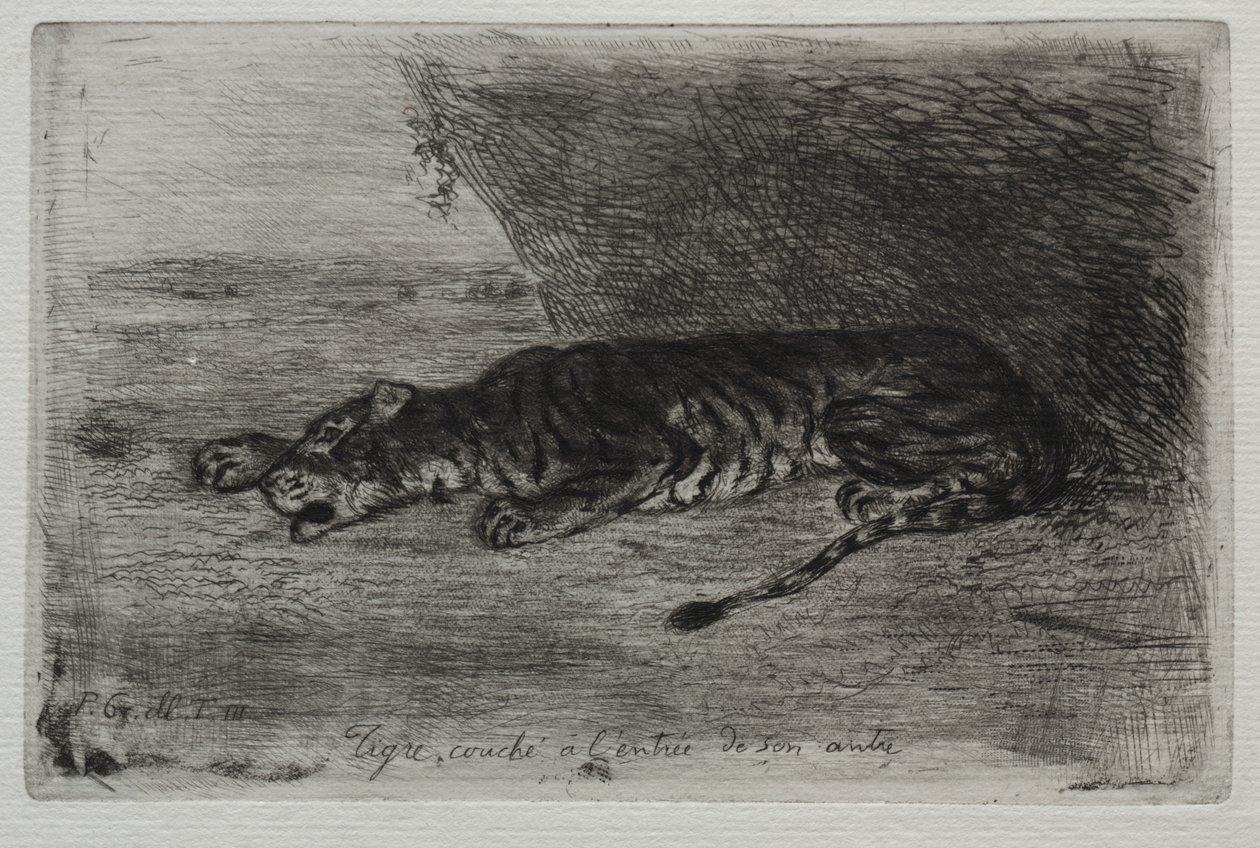Tygr spí u vchodu do svého doupěte od Eugène Delacroix