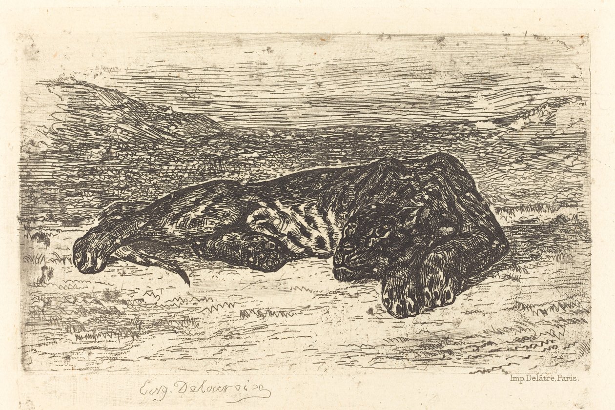 Tygr spí v poušti od Eugène Delacroix