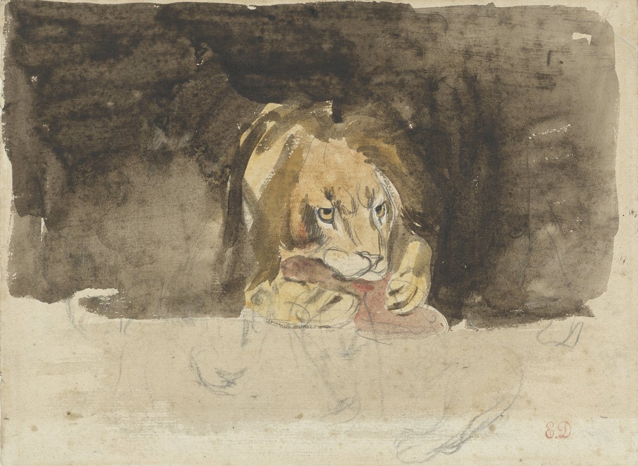 Masožravý lev, při pohledu zepředu, vycházející na tmavém pozadí od Eugène Delacroix
