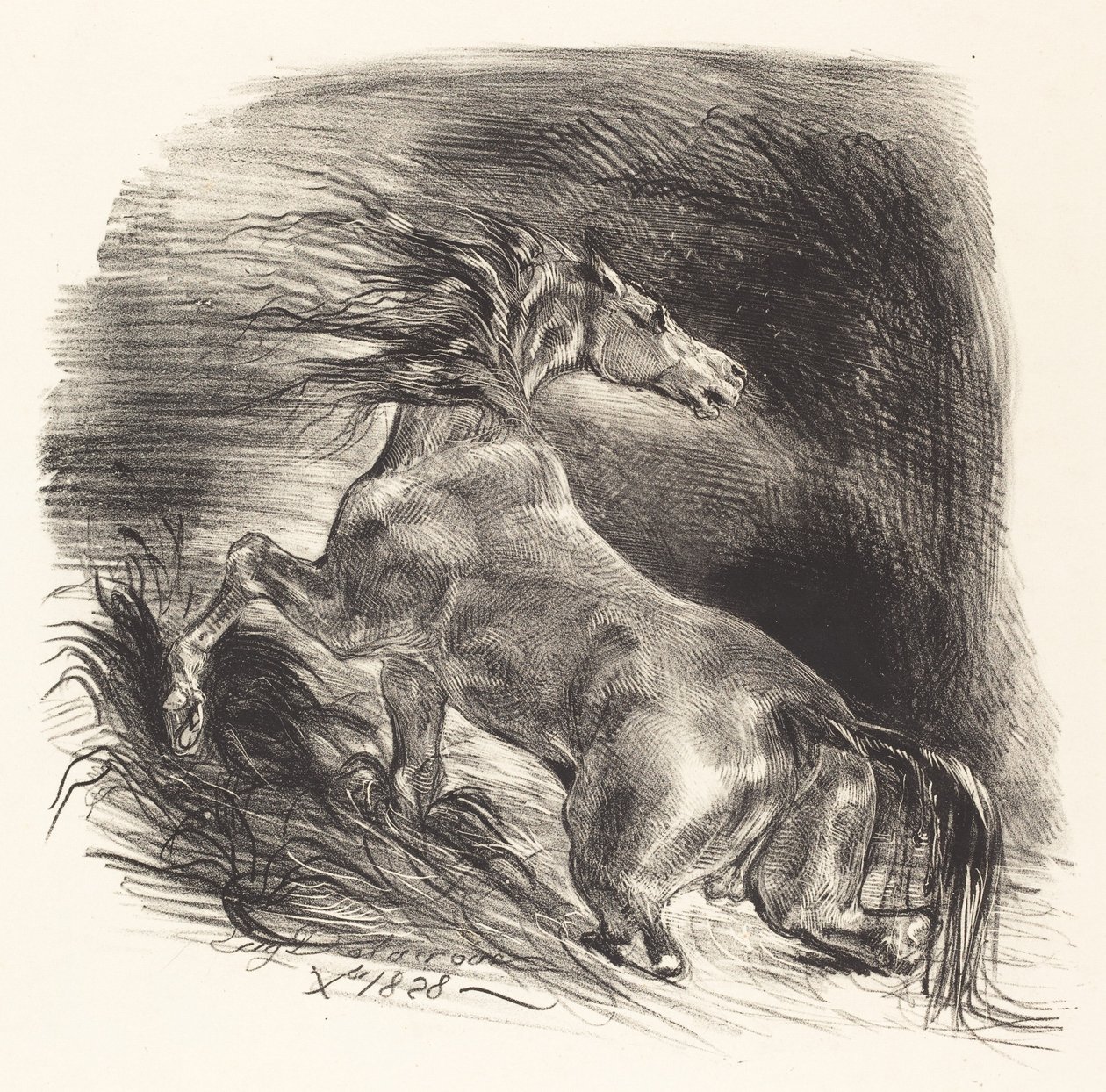 Divoký kůň vycházející z vody Cheval sauvage, 1828. od Eugène Delacroix