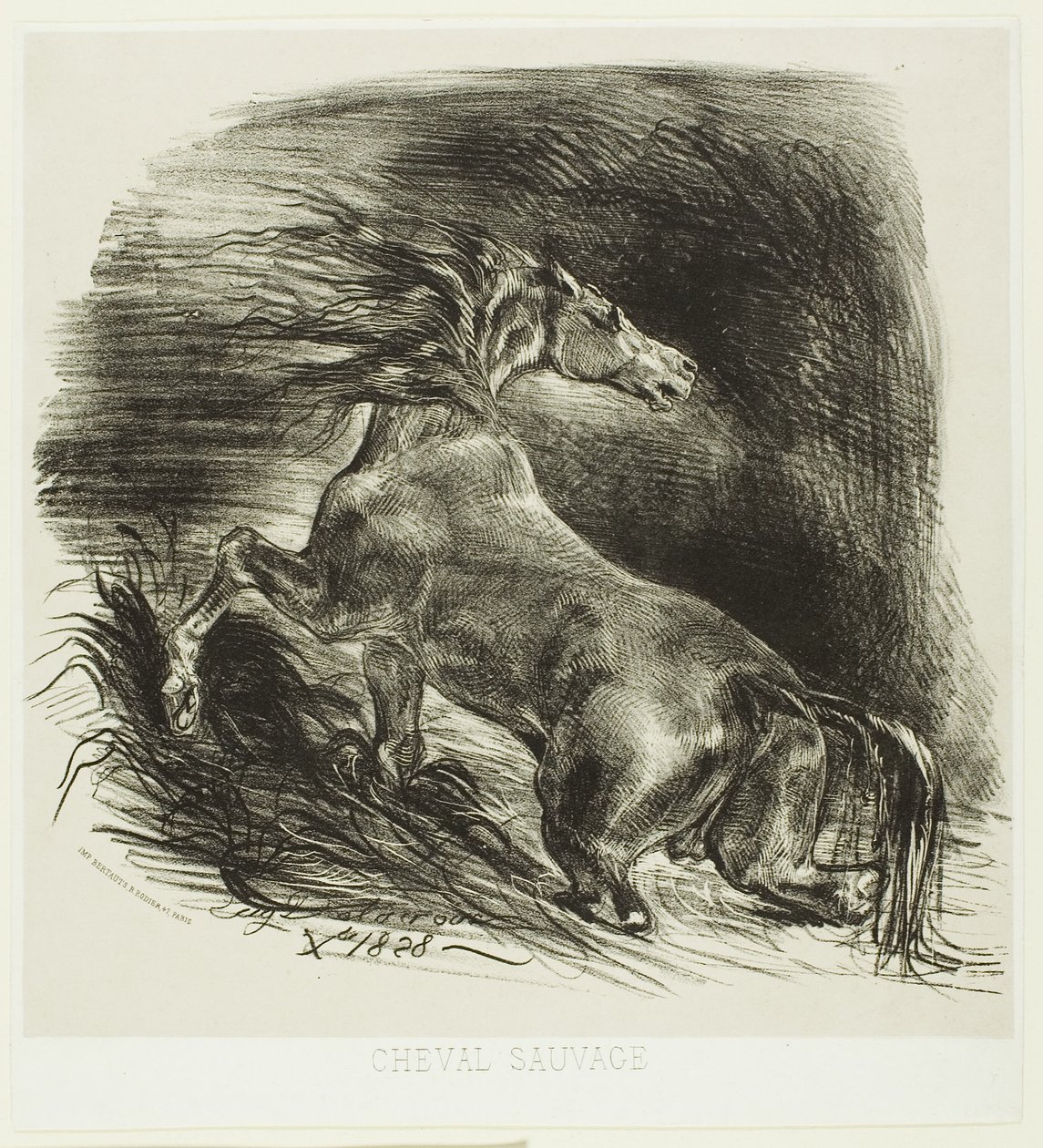 Divoký kůň nebo splašený kůň opouštějící vodu od Eugène Delacroix