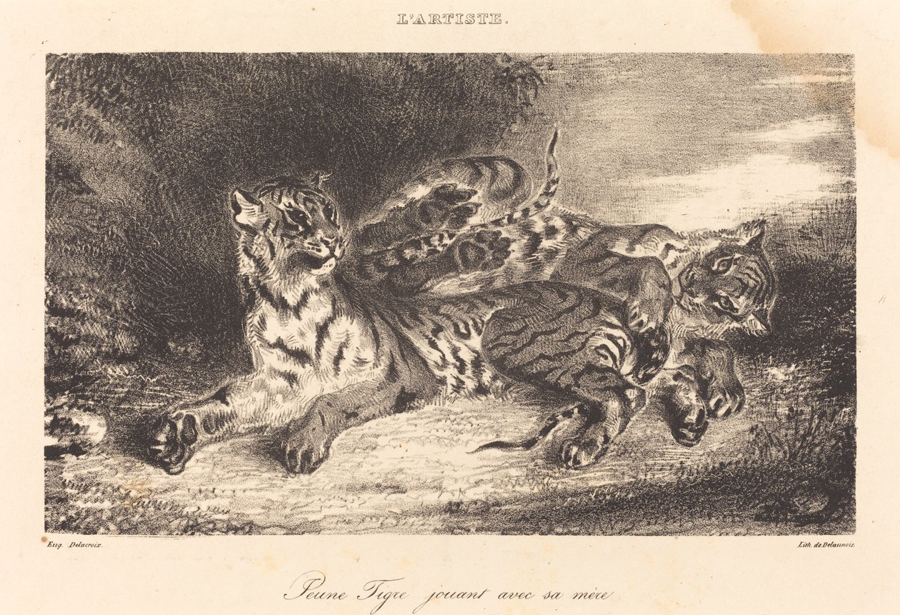 Mladý tygr si hraje se svou matkou od Eugène Delacroix