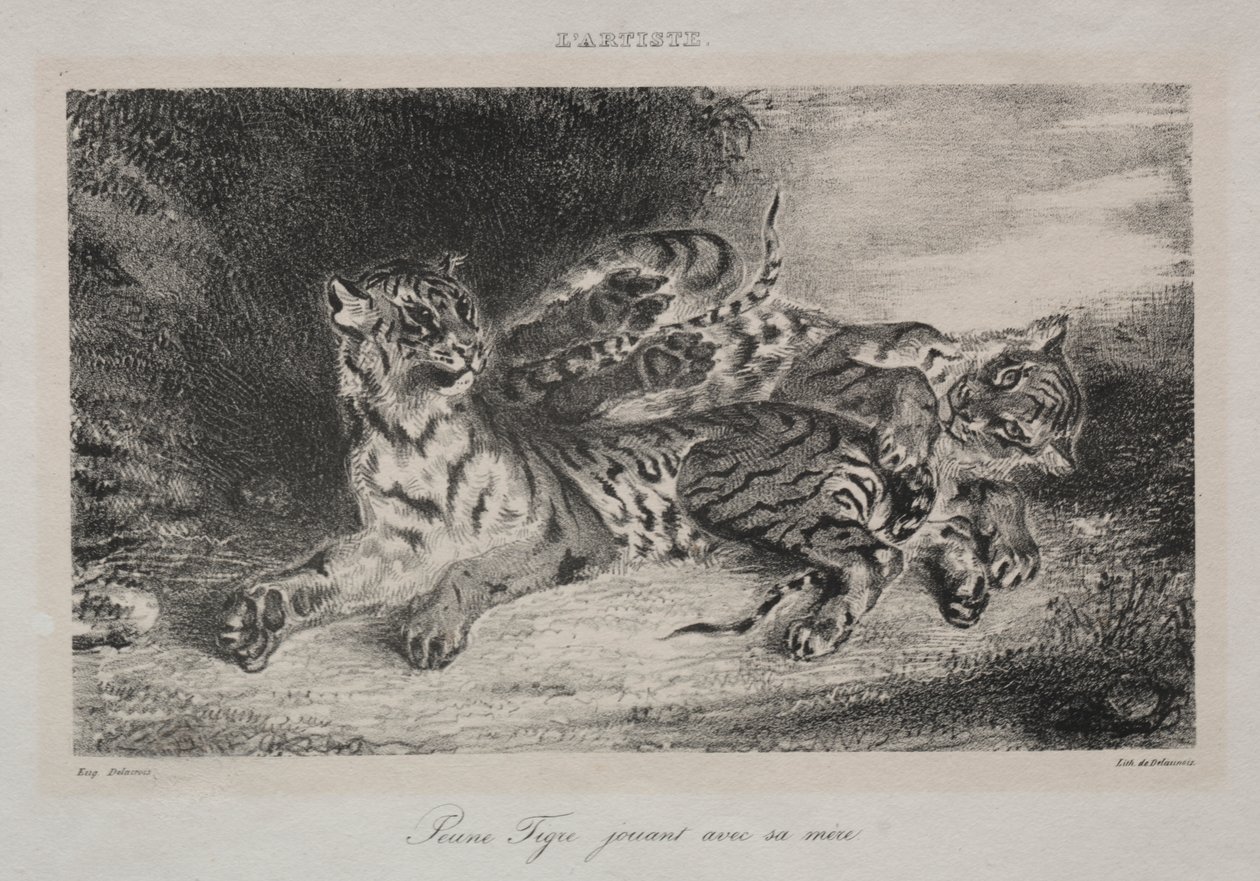 Mladý tygr si hraje se svou matkou od Eugène Delacroix