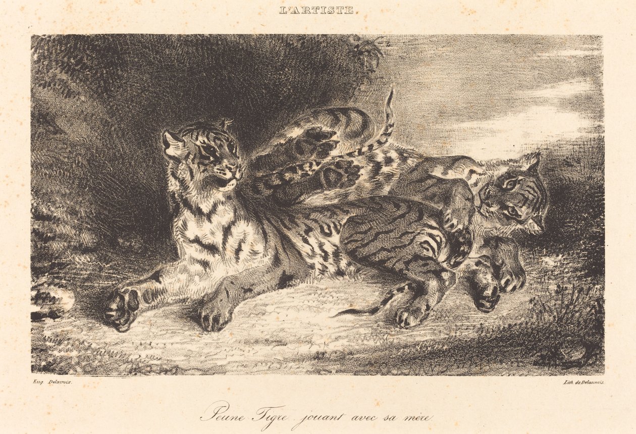 Mladý tygr si hraje se svou matkou Mladý tygr si hraje se svou matkou, 1831. od Eugène Delacroix