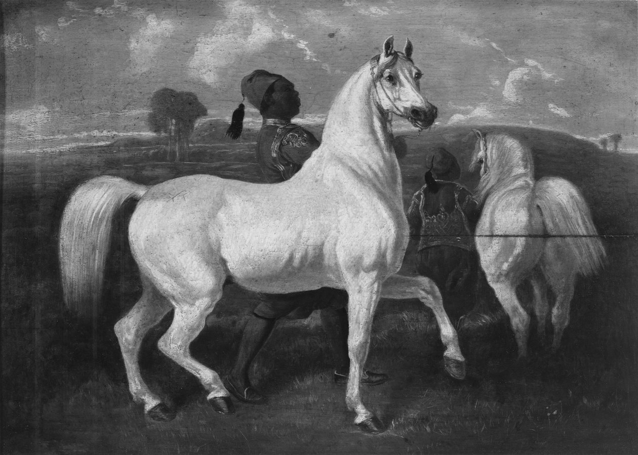 Arabští koně, 19. století od Eugène Fromentin
