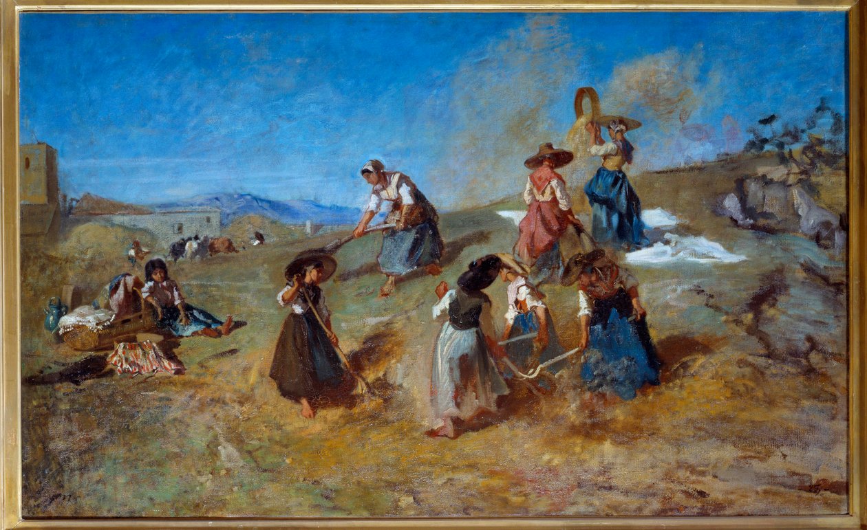 Sklizeň Obraz Eugena Fromentina (1820-1876) 1875 Ne. 0,78x1,2 m Rouen, Musee des Beaux Arts od Eugène Fromentin