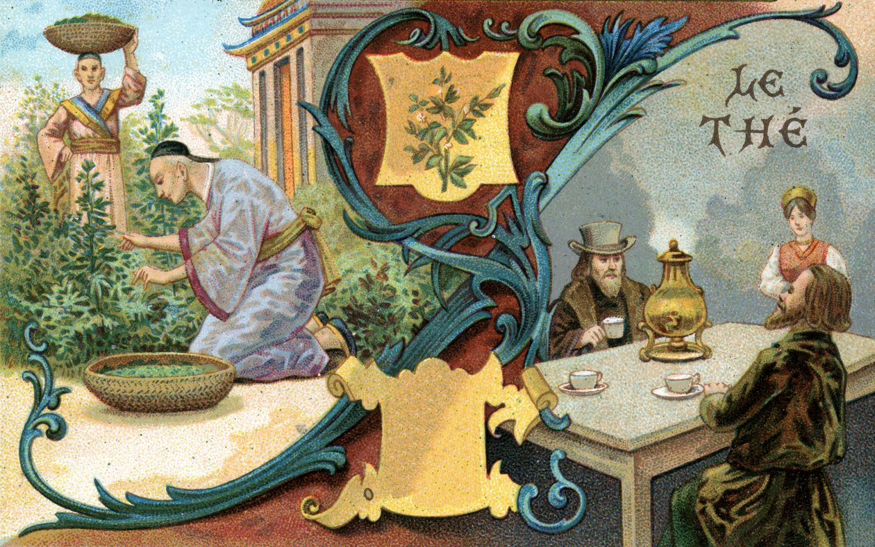 Čaj, 1899 od European School