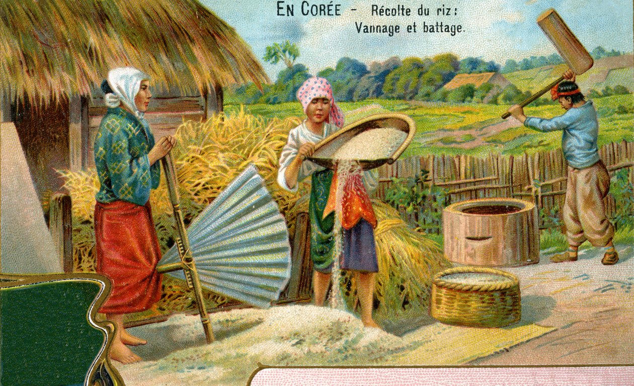 Sklizeň rýže v Koreji, víření a mlácení, 1904 od European School
