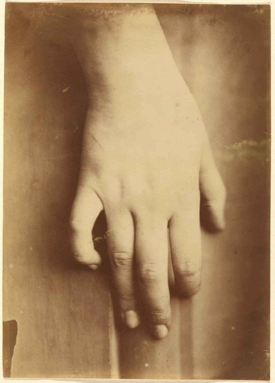 Studie ruky od European 19th Century
