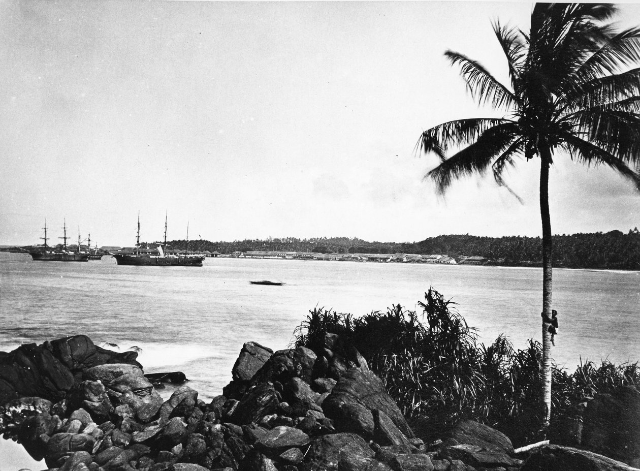 Přístav Colombo, kolem 1860-80 od European Photographer
