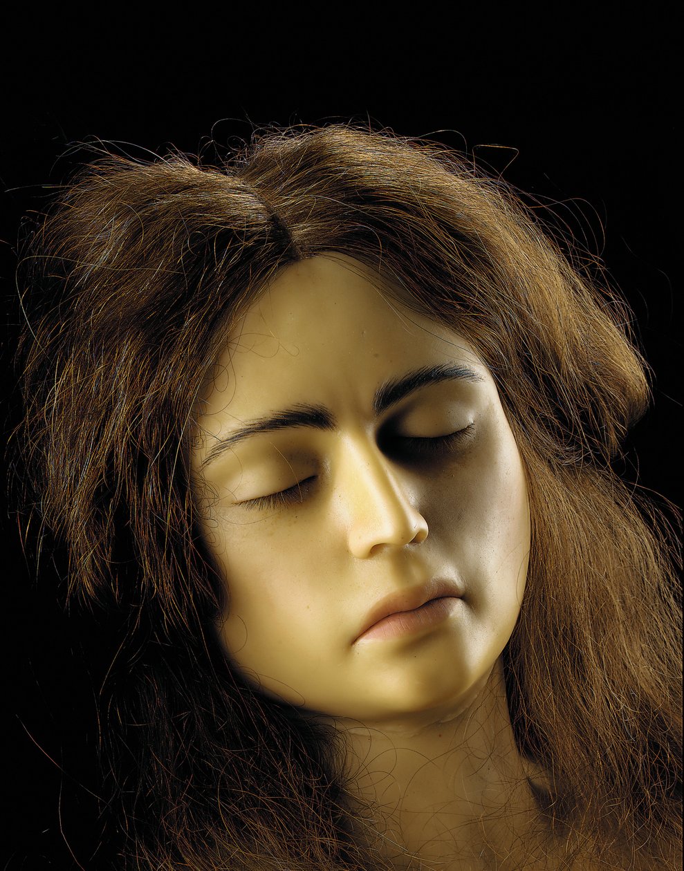 Anatomický model ovariálního těhotenství, detail od European School