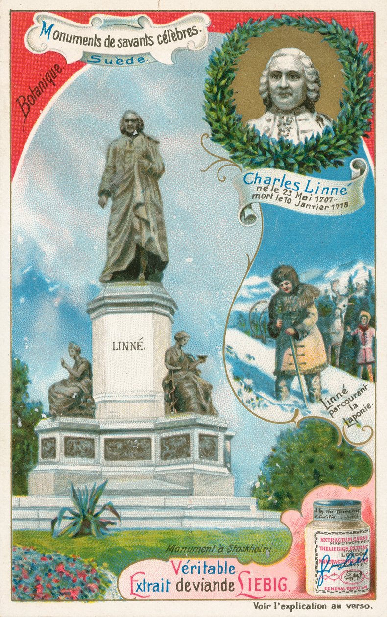 Carl Linnaeus, Liebigova karta, počátek 20. století (chromo) od European School