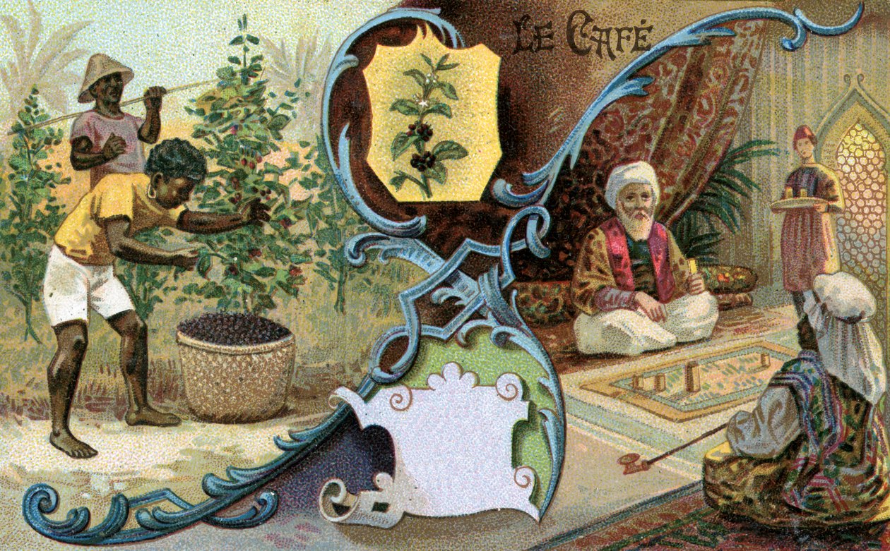 Káva, 1899 od European School