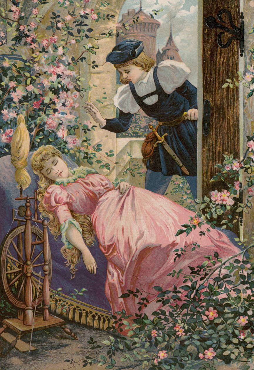 Grimmovy pohádky: (chromolit) od European School