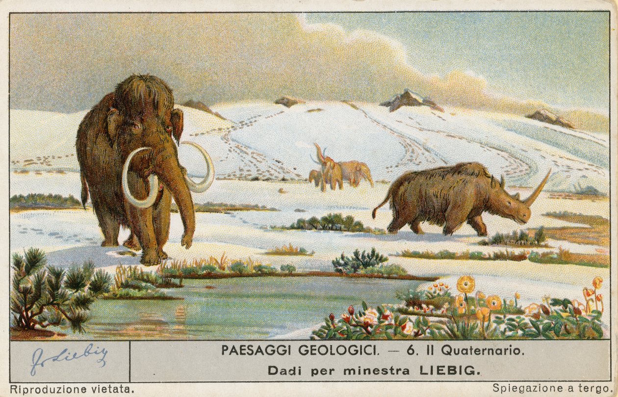 Prehistorický svět, Liebigova karta, počátek 20. století (chromo) od European School