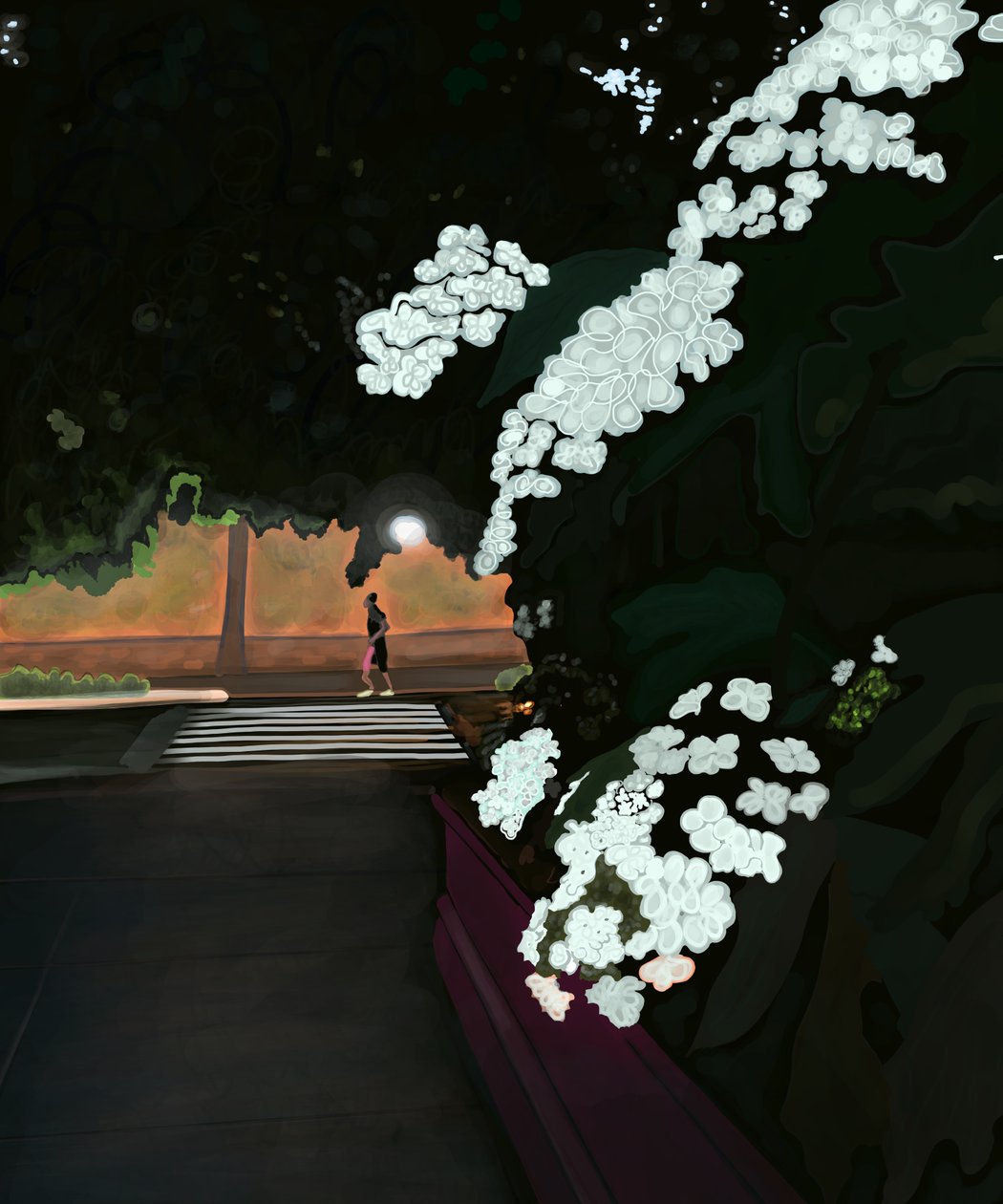 6 hodin ráno. Deštivé ráno a běžec. Prospect park West (digitální umění) od Evan Sklar
