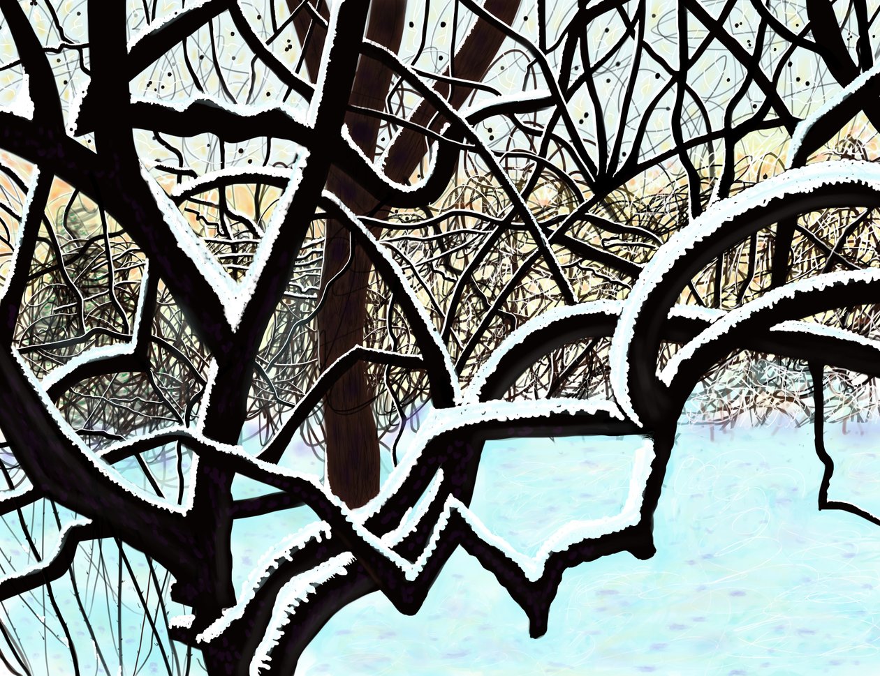 Třešeň na sněhu, Brooklyn (digitální umění) od Evan Sklar