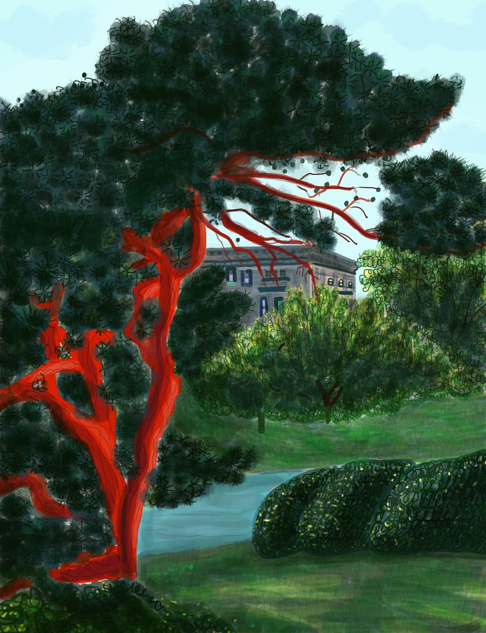 Conifer At Litchfield Villa, Prospect Park (digitální umění) od Evan Sklar