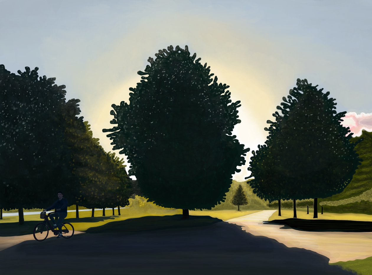 Cyklista, svítání, Hyde Park (digitální umění) od Evan Sklar
