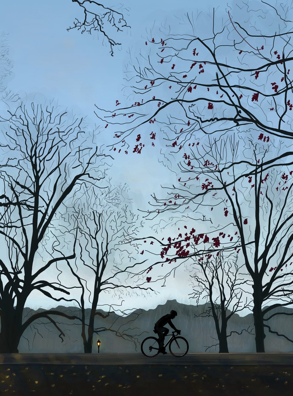 Cyklista, ráno, Prospect Park (digitální umění) od Evan Sklar
