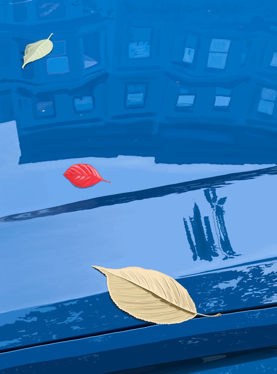 Spadané listí na modrém autě, Brooklyn (digitální umění) od Evan Sklar